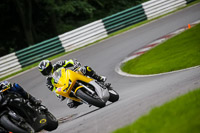 Advanced Group Yellow Bikes